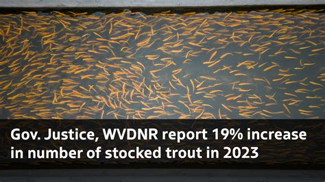 Wvdnr stock report - Published: Jan. 9, 2023 at 1:11 PM PST. SOUTH CHARLESTON, W.Va (WDTV) - The WVDNR shared the recent locations where trout was stocked. The following waters were stocked with trout during the week ... 